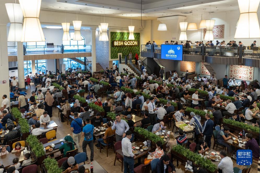 大发手机版网页版登陆